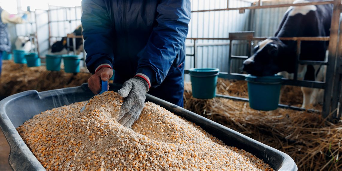 Ministro da Agricultura diz que acordo Mercosul e União Europeia é muito importante para agropecuária brasileira