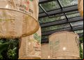 Café Cultura segue em expansão e abre primeira unidade própria em São Paulo